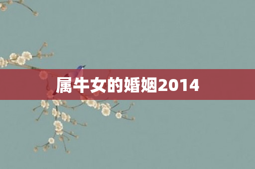 属牛女的婚姻2014
