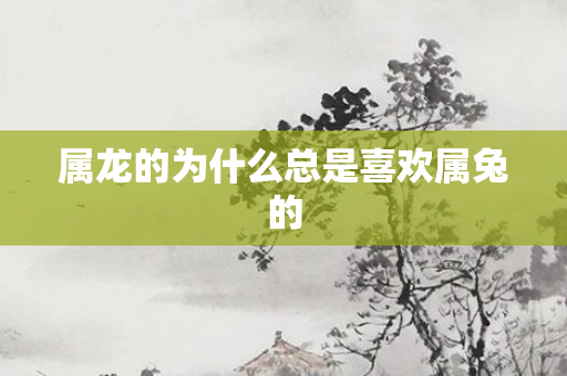 属龙的为什么总是喜欢属兔的