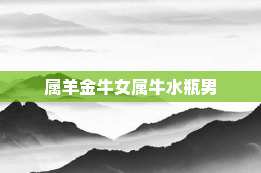 属羊金牛女属牛水瓶男