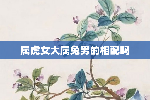 属虎女大属兔男的相配吗