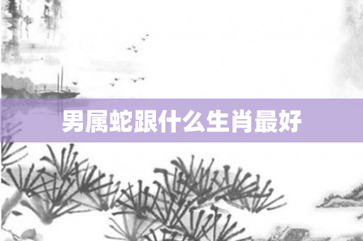 男属蛇跟什么生肖更好