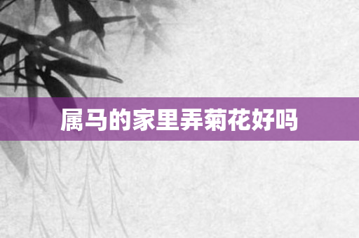 属马的家里弄菊花好吗