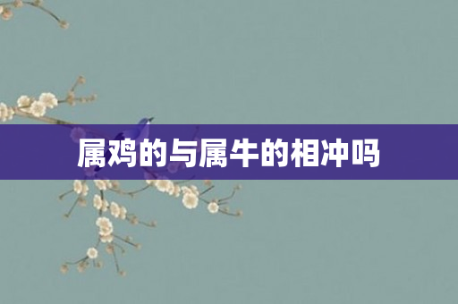 属鸡的与属牛的相冲吗