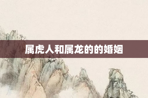 属虎人和属龙的的婚姻