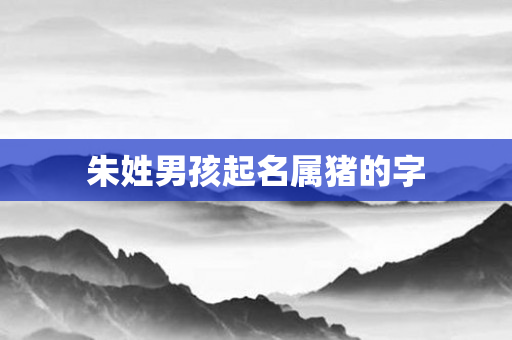 朱姓男孩起名属猪的字