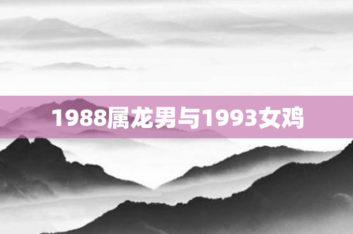 1988属龙男与1993女鸡
