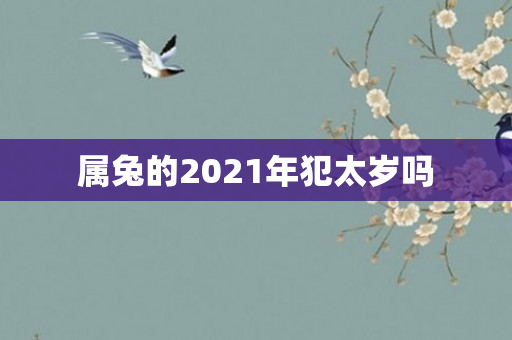 属兔的2021年犯太岁吗