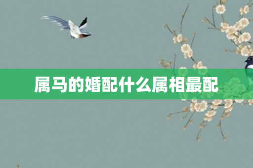 属马的婚配什么属相最配