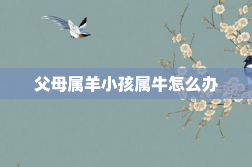 父母属羊小孩属牛怎么办