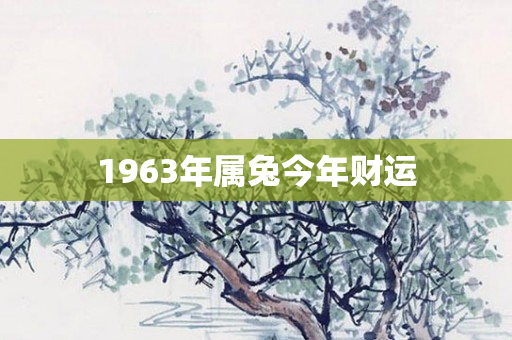 1963年属兔今年财运