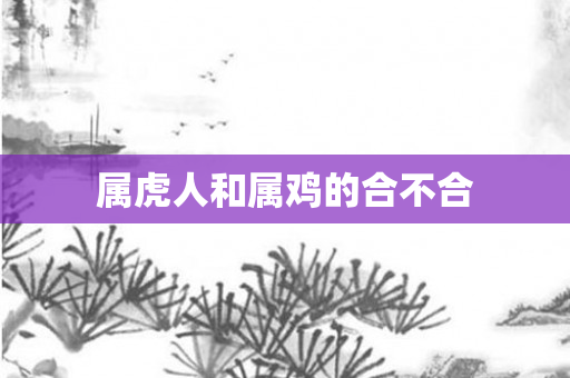 属虎人和属鸡的合不合