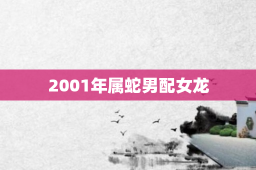 2001年属蛇男配女龙