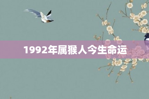 1992年属猴人今生命运