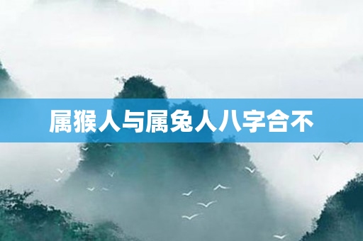 属猴人与属兔人八字合不