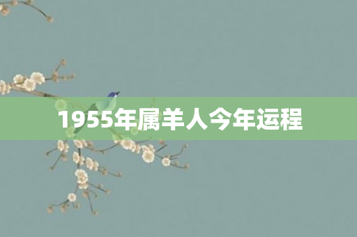 1955年属羊人今年运程