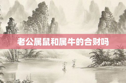 老公属鼠和属牛的合财吗