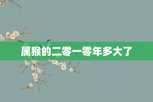 属猴的二零一零年多大了