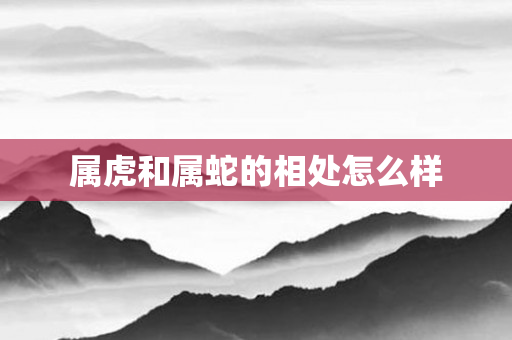 属虎和属蛇的相处怎么样
