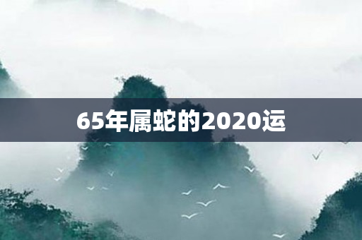 65年属蛇的2020运