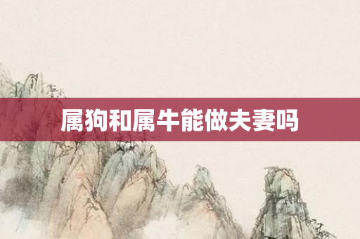 属狗和属牛能做夫妻吗