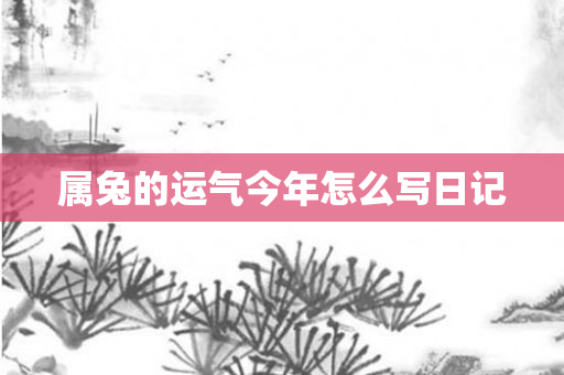 属兔的运气今年怎么写日记
