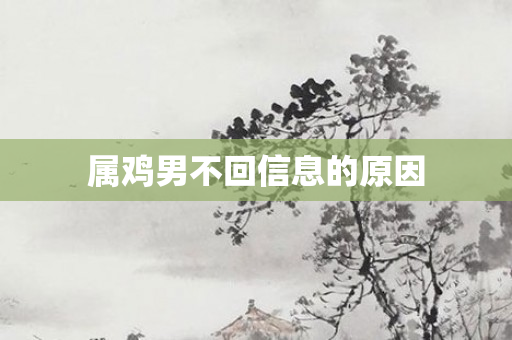 属鸡男不回信息的原因