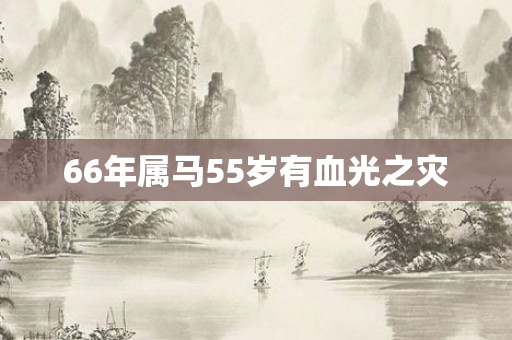 66年属马55岁有血光之灾