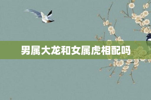 男属大龙和女属虎相配吗