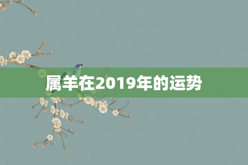 属羊在2019年的运势