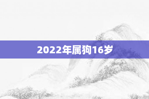 2022年属狗16岁