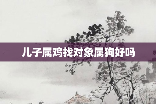 儿子属鸡找对象属狗好吗