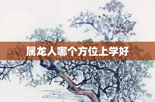 属龙人哪个方位上学好