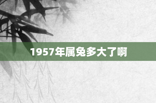 1957年属兔多大了啊