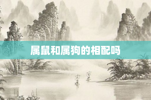 属鼠和属狗的相配吗