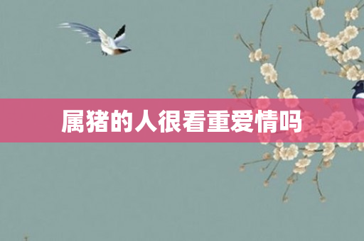 属猪的人很看重爱情吗