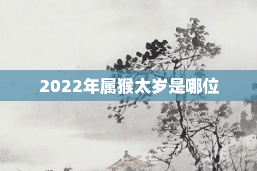 2022年属猴太岁是哪位