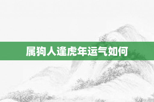 属狗人逢虎年运气如何
