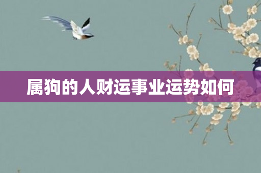 属狗的人财运事业运势如何