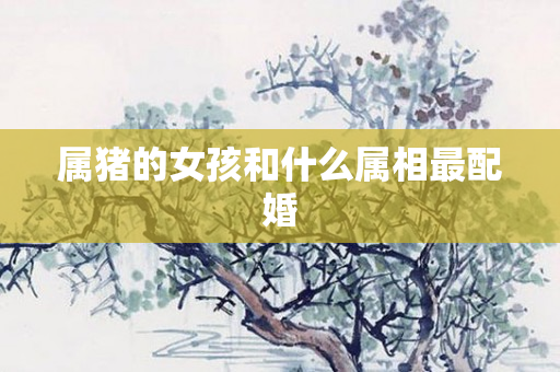 属猪的女孩和什么属相最配婚
