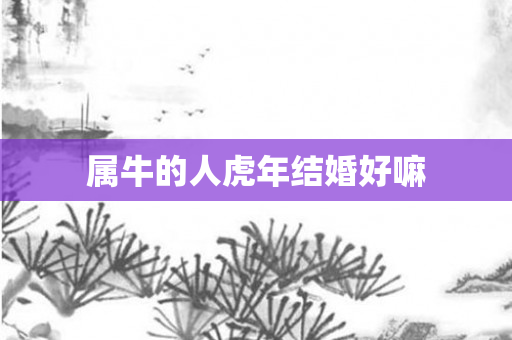 属牛的人虎年结婚好嘛
