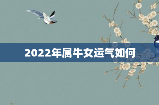 2022年属牛女运气如何