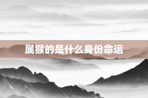 属猴的是什么身份命运