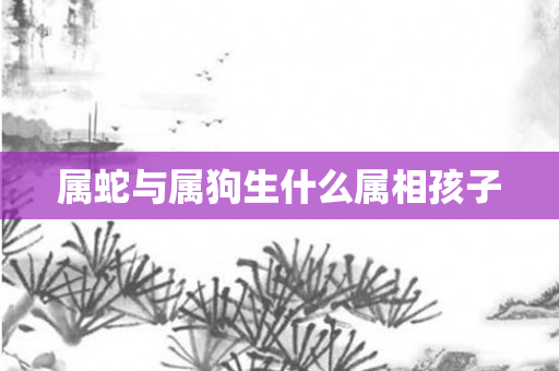 属蛇与属狗生什么属相孩子