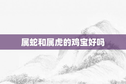 属蛇和属虎的鸡宝好吗