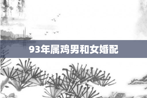 93年属鸡男和女婚配