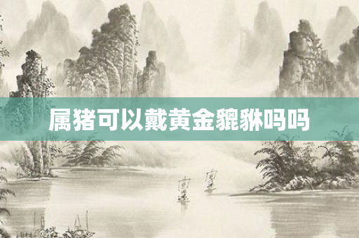 属猪可以戴黄金貔貅吗吗