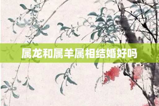 属龙和属羊属相结婚好吗