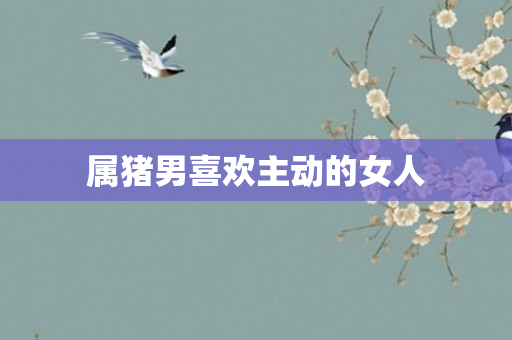属猪男喜欢主动的女人