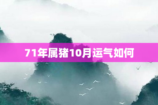 71年属猪10月运气如何