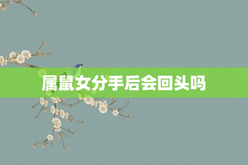 属鼠女分手后会回头吗